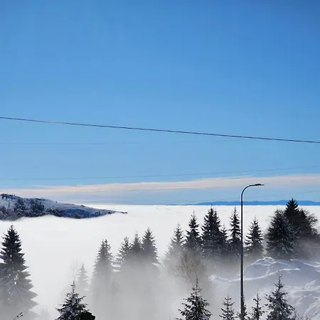 Friends Kopaonik